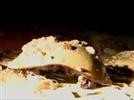 Charles River: The Remarkable Success Story of the Horseshoe Crab