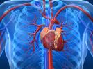 learn more