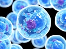 Cell and Gene Therapy Circuit