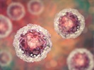 Cell and Gene Therapy Circuit