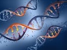 Cell and Gene Therapy Circuit