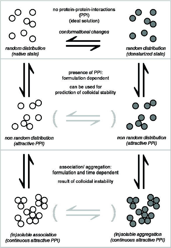 A LowVolume Screening Tool to Optimize Colloidal Stability for Highly Concentrated Protein