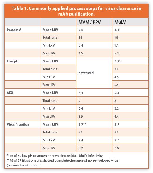 Commonly applied process steps for virus clearance in mAb purification.
