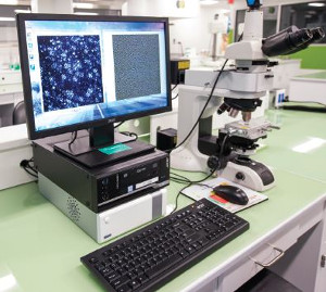 FACILITY TOUR: Gattefossé - The Lipid Chemistry Experts