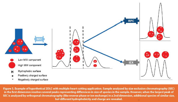 Example of hypothetical 2DLC with multiple heart cutting application.