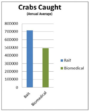 The Impact of Biomedical Use on Horseshoe Crabs