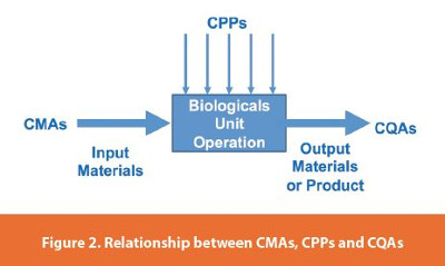 Relationship between CMAs, CPPs and CQAs