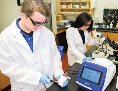 An Interview with... Dr. Katherine A. Bakeev, Director, B&W Tek