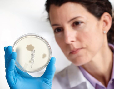 Microbiologics