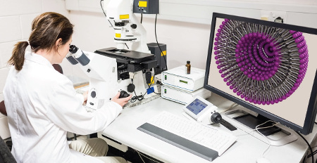 An Interview with... Danielle Clay Director of Global Strategic Marketing and Business Development for Injectable Drug Delivery, Evonik