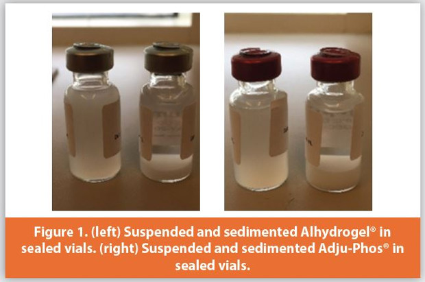 (left) Suspended and sedimented Alhydrogel® in sealed vials. (right) Suspended and sedimented Adju-Phos® in sealed vials.