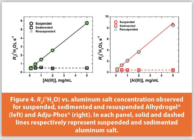 R2(1H2O) vs. aluminum salt concentration observed for suspended, sedimented and resuspended Alhydrogel® (left) and Adju-Phos® (right). In each panel, solid and dashed lines respectively represent suspended and sedimented aluminum salt.
