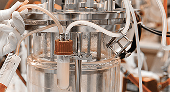 Bioavailability Enhancement By Attenuating Presystemic Metabolism