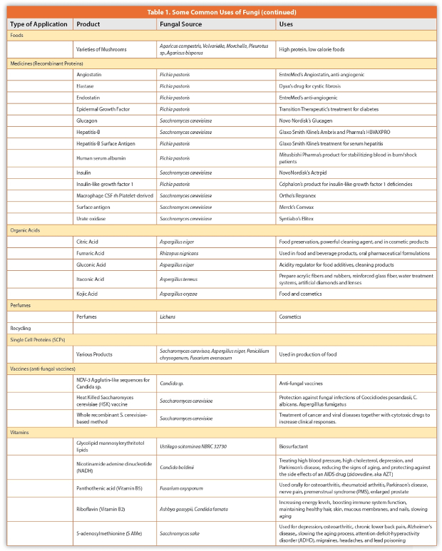 Some Common Uses of Fungi