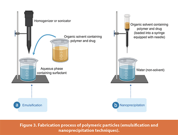 Fabrication process of polymeric particles (emulsifi cation and
nanoprecipitation techniques).