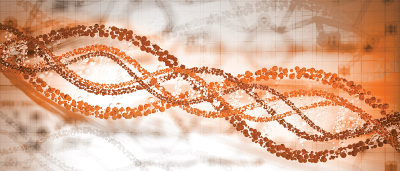 Challenges in the Downstream Process of Gene Therapy Products