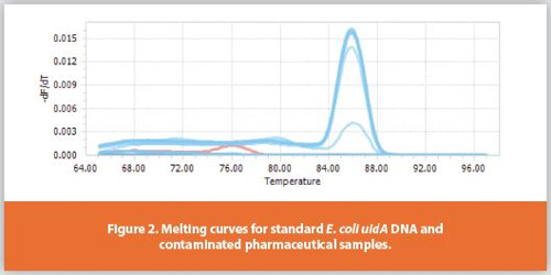 Melting curves for standard E. coli uidA DNA and contaminated pharmaceutical samples.