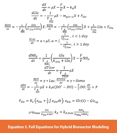 Full Equations for Hybrid Bioreactor Modeling