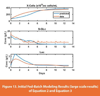 Initial Fed-Batch Modeling Results (large scale results) of Equation 2 and Equation 3