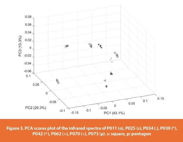 PCA scores plot of the infrared spectra of P011 (o), P025 (s), P034 (.), P039 (*),
P042 (^), P062 (>), P070 (<), P073 (p). s: square, p: pentagon