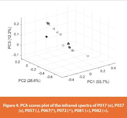 PCA scores plot of the infrared spectra of P017 (o), P037 (s), P057 (.), P067(*), P072 (^), P081 (>), P082 (<).