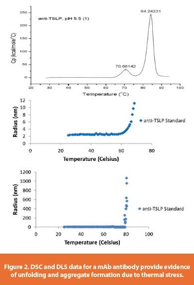 DSC and DLS data for a mAb antibody provide evidence of unfolding and aggregate formation due to thermal stress