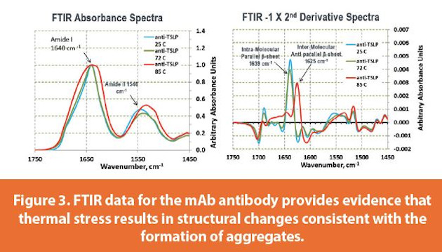 FTIR data for the mAb antibody provides evidence that thermal stress results in structural changes consistent with the formation of aggregates