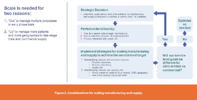 Considerations for scaling manufacturing and supply.