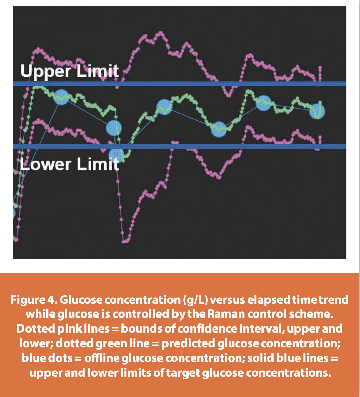 Figure 4. Glucose concentration (g/L) versus elapsed time trend
while glucose is controlled by the Raman control scheme.
Dotted pink lines = bounds of confi dence interval, upper and
lower; dotted green line = predicted glucose concentration;
blue dots = offl ine glucose concentration; solid blue lines =
upper and lower limits of target glucose concentrations.