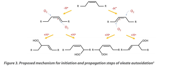 Figure 3. Proposed mechanism for initiation and propagation steps of oleate autoxidation3)