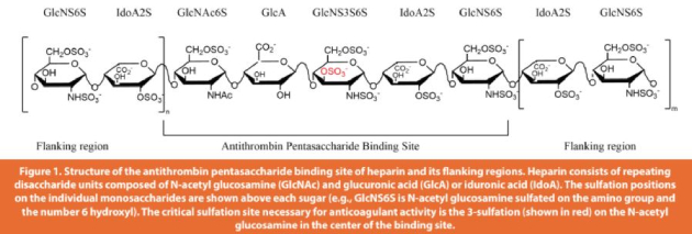 Figure 1. Representation of collapse in typical freeze-drying
samples. (Left) Partially collapsed and (right) fully collapsed/
melt-back samples.