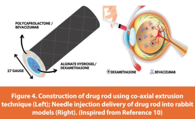 Figure 4. Construction of drug rod using co-axial extrusion technique (Left); Needle injection delivery of drug rod into rabbit models (Right). (Inspired from Reference 10)