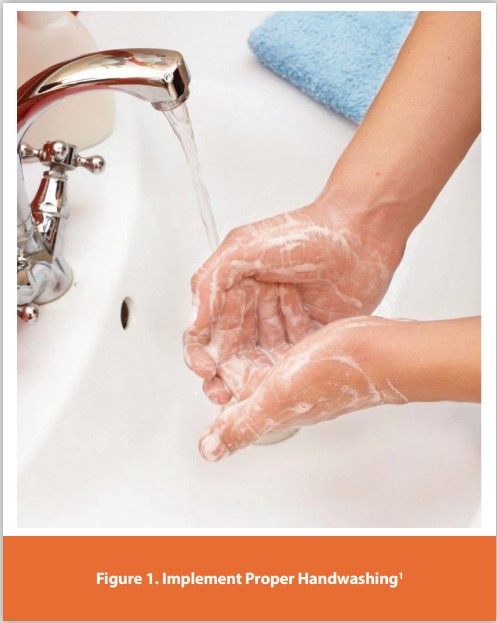 Figure 1. Implement Proper Handwashing1