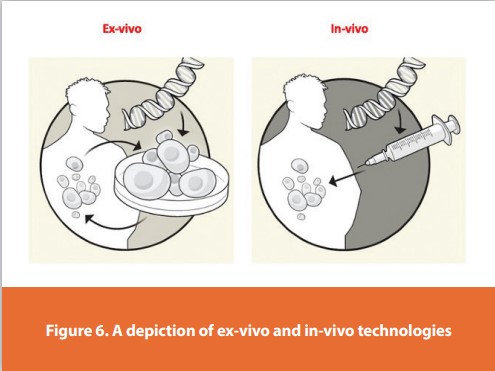 Figure 6. A depiction of ex-vivo and in-vivo technologies