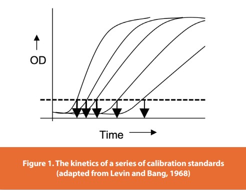 Figure 1. The kinetics of a series of calibration standards (adapted from Levin and Bang, 1968)