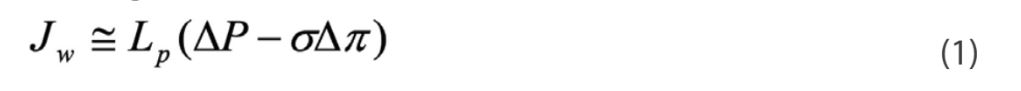 equation 1