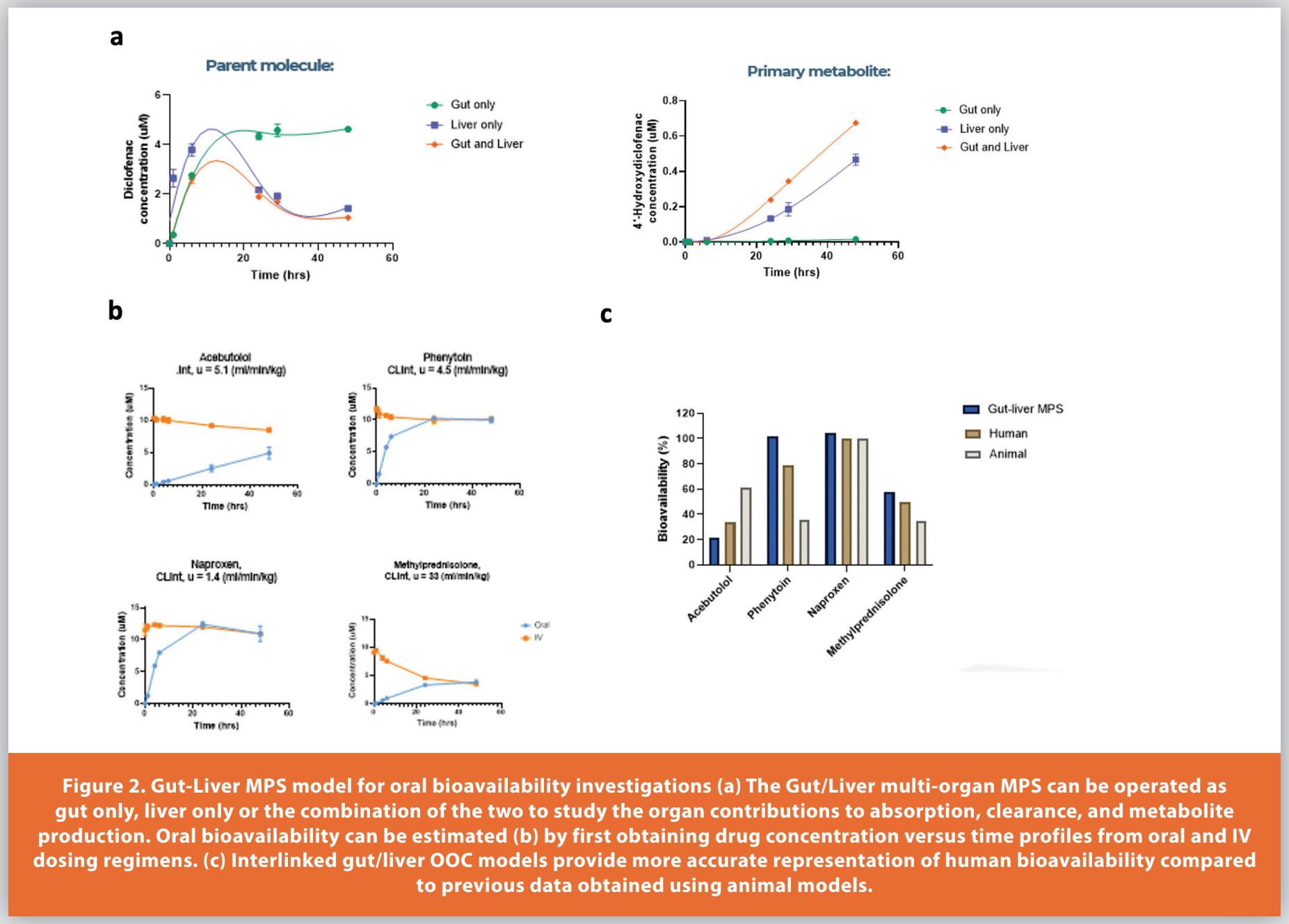 Figure 2. Gut-Liver MPS model for oral bioavailability investigations (a) The Gut/Liver multi-organ MPS can be operated as gut only, liver only or the combination of the two to study the organ contributions to absorption, clearance, and metabolite production. Oral bioavailability can be estimated (b) by first obtaining drug concentration versus time profiles from oral and IV dosing regimens. (c) Interlinked gut/liver OOC models provide more accurate representation of human bioavailability compared to previous data obtained using animal models.