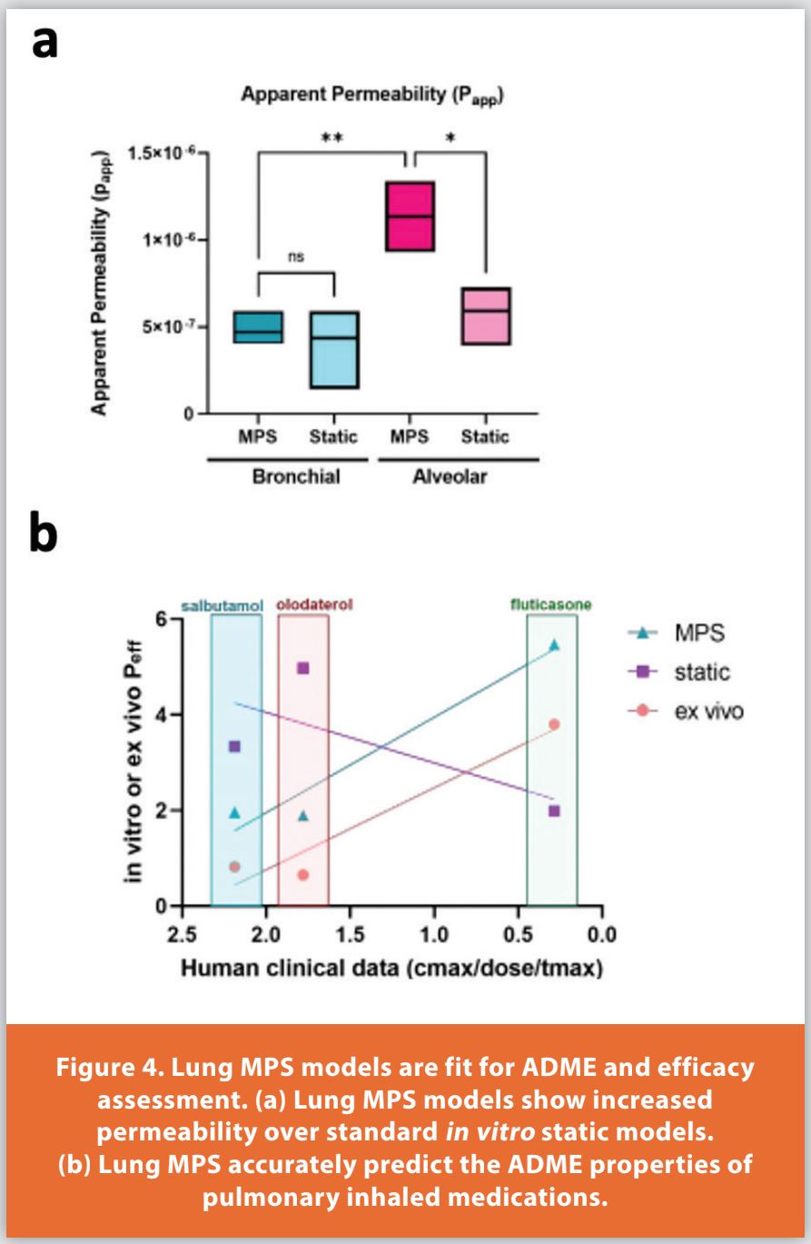 Figure 4. Lung MPS models are fit for ADME and efficacy
assessment. (a) Lung MPS models show increased permeability over standard in vitro static models.
(b) Lung MPS accurately predict the ADME properties of
pulmonary inhaled medications.