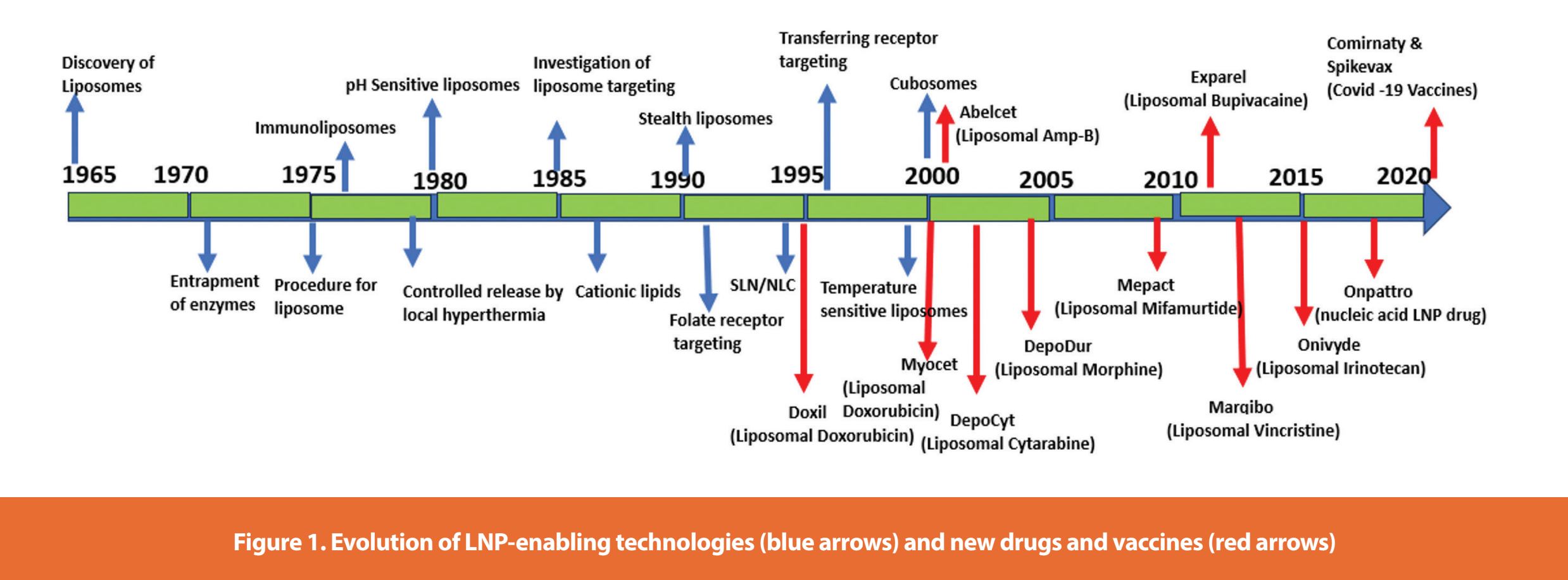 Figure 1. Evolution of LNP-enabling technologies (blue arrows) and new drugs and vaccines (red arrows)