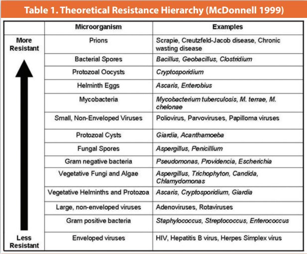 Bacterial Spore Formers in Disinfectant Efficacy Testing American