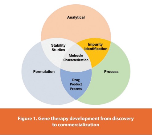 Figure 1. Gene therapy development from discovery to commercialization