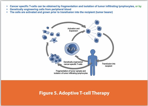 Figure 5. Adoptive T-cell Therapy