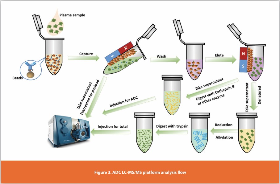 Figure 3. ADC LC-MS/MS platform analysis flow
