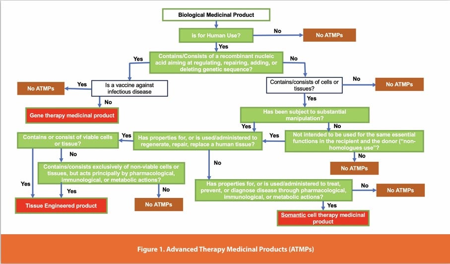 Figure 1. Advanced Therapy Medicinal Products (ATMPs)