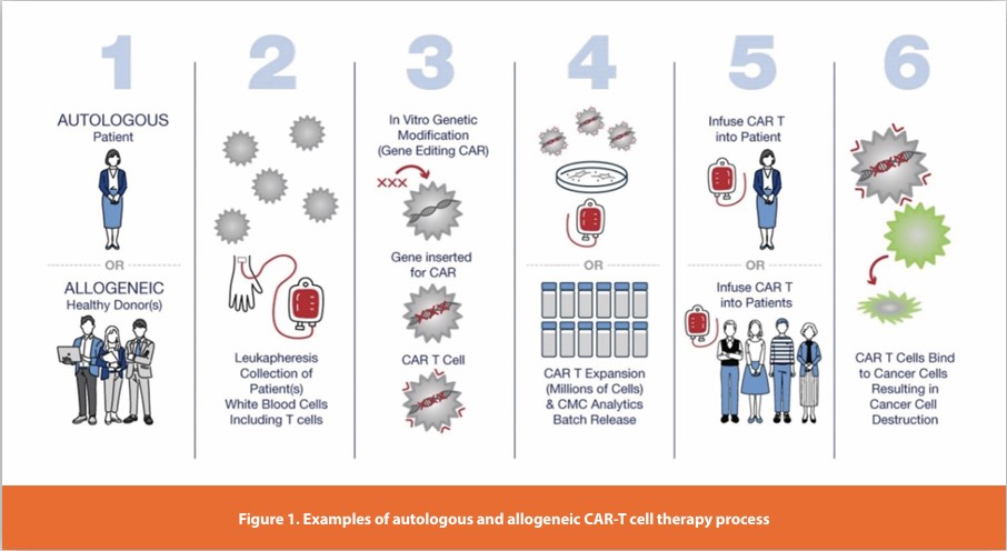 Figure 1. Examples of autologous and allogeneic CAR-T cell therapy process