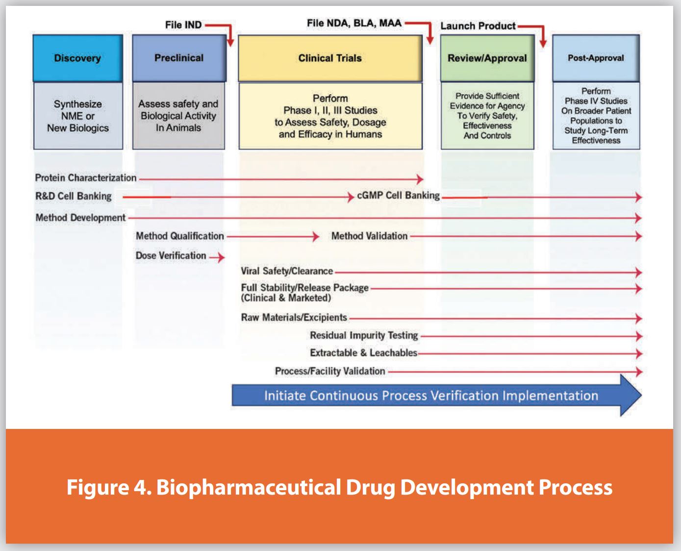 Figure 4. Biopharmaceutical Drug Development Process
