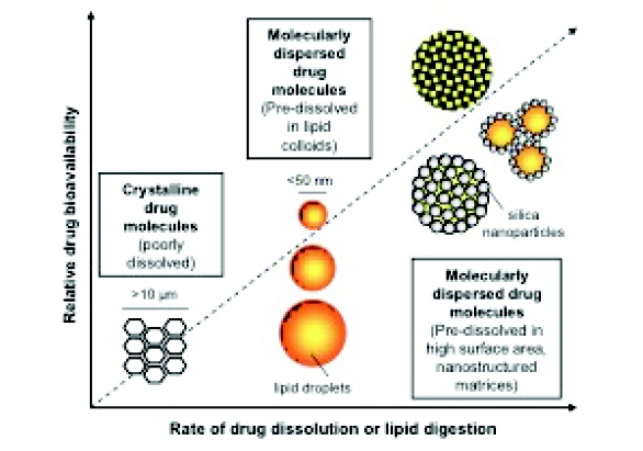 Improving the Performance of Lipid Formulations: Nanoparticle Layers ...