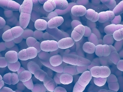 Preservative Excipients - Staph Bacteria