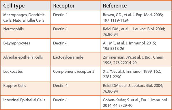 1 3 Ss D Glucan Pharmaceutical Contaminant And Biological Response Modifier American Pharmaceutical Review The Review Of American Pharmaceutical Business Technology