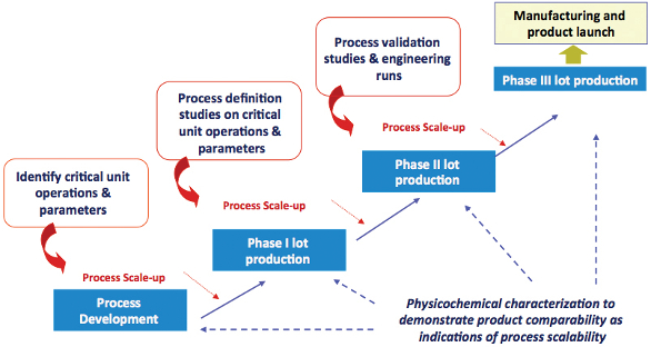 Protein Purification: Design and Scale up of Downstream Processing